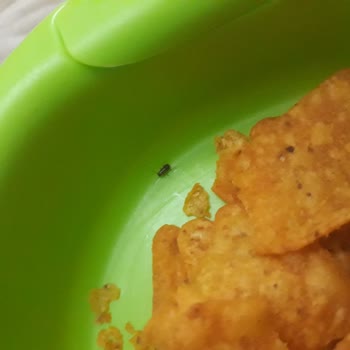 Doritos Cipsten Böcek Çıktı.!