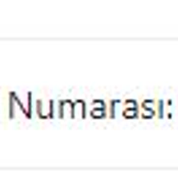 MNG Kargo İle Yaşanan Gecikme Ve Gümrük Sorunu