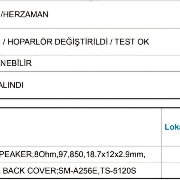 Samsung A25 Ses Sorunu