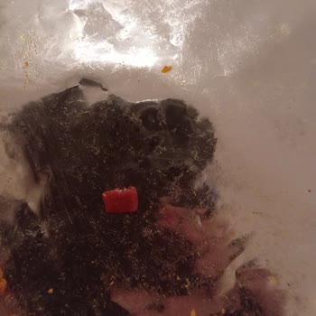 Doritos'tan Taş Çıkması