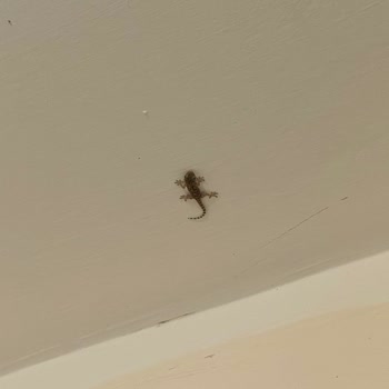 Jolly Tur İtalya Turumuzda Yaşadığımız Otel Kabusu!