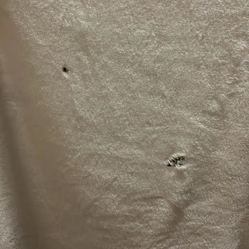 Jolly Tur İtalya Turumuzda Yaşadığımız Otel Kabusu!