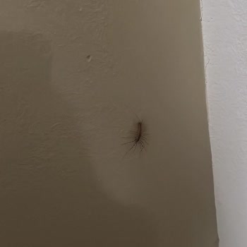 Jolly Tur Balkan Turu Hayal Kırıklığı Ve İletişim Sorunları