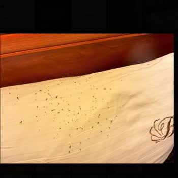 Jolly Tur Balkan Turu Hayal Kırıklığı Ve İletişim Sorunları