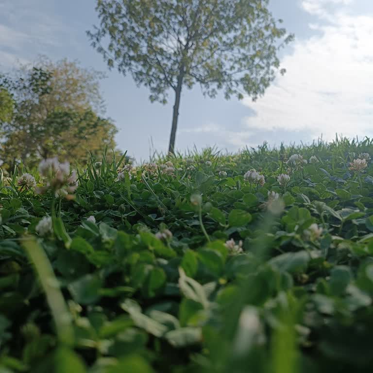 Hakmar Express Çalışan Şikayeti Hakkında