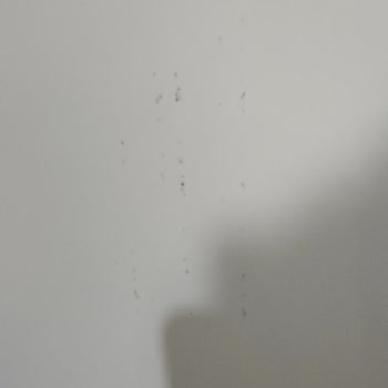 Zamantı Beyaz Eşya Vestel Pişmanlıktır