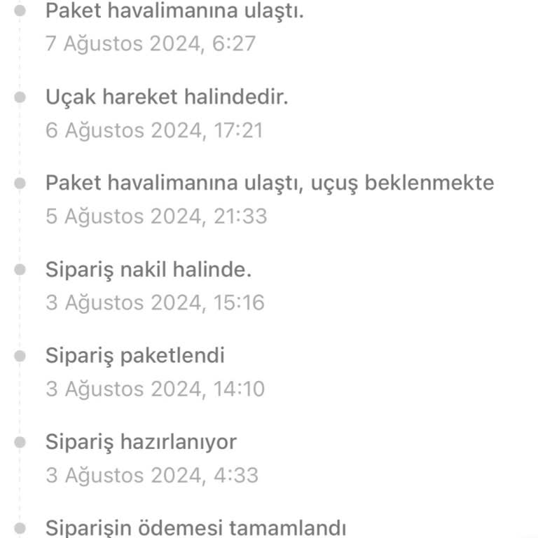Temu Gümrükte Neden Bu Kadar Uzun Bekliyor