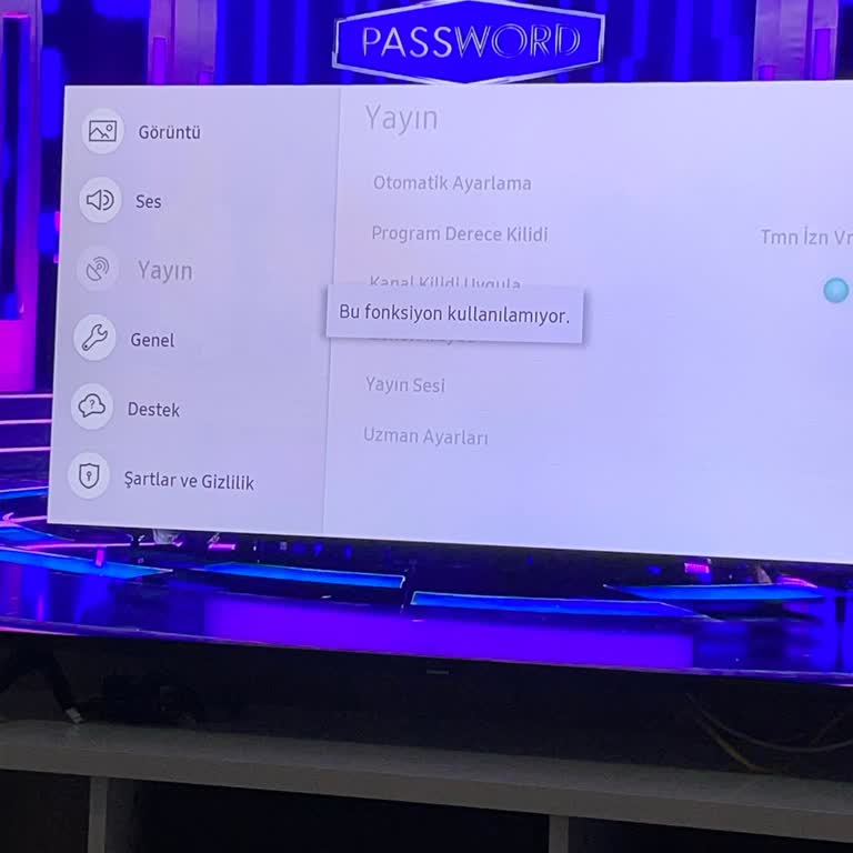 Samsung TV Bu Fonksiyon Kullanılamıyor Hatası