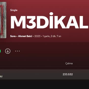 Müzikonair Müzik Şirketinden Gelir Elde Edememe Sorunu