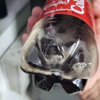 Meysu Cola Dibinde Küf Sorunu