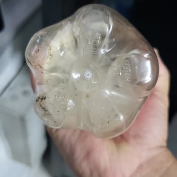 Meysu Cola Dibinde Küf Sorunu