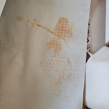 Tiril Tiril Halı Yıkama Temizlik Garantisi Vermeyen Halı Yıkama Firması