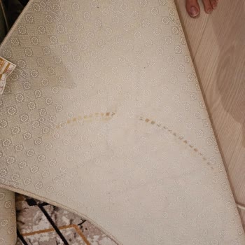 Tiril Tiril Halı Yıkama Temizlik Garantisi Vermeyen Halı Yıkama Firması