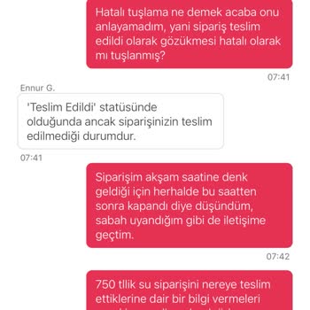 Yemeksepeti Online Ödeme Alıp Sipariş Teslim Edilmediğinde İade Yapılmıyor