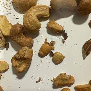 Çitlekçi'den Aldığım Süper Karışık Kuruyemişten Kurtlar Çıktı