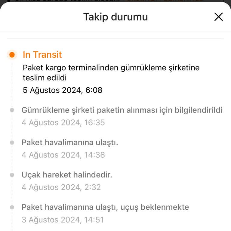 Temu Gümrükleme Sürecinde Uzama