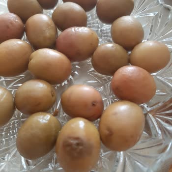 A101'den Alınan Zeytin Ürünü Hakkında Değerlendirme