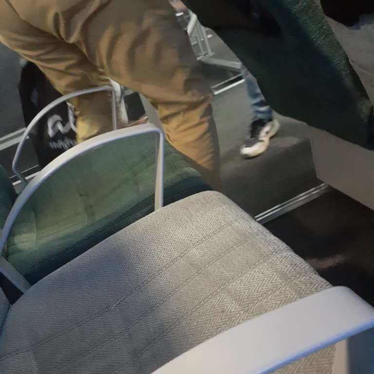 BUDO İle Yaşadığımız Koltuk Sorunu