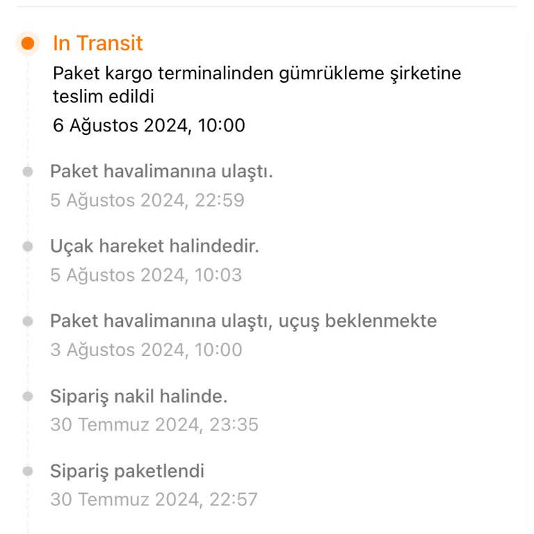 Temu Gümrük Ve Teslimat Problemi!