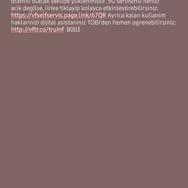 Sorunları Çözmeyen ve Müşteriyi Azarlayan Firma