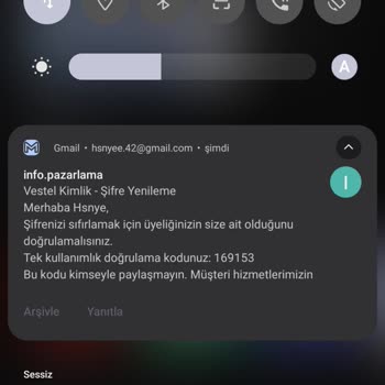 Vestel Uygulama Sorunu Çözülmedi