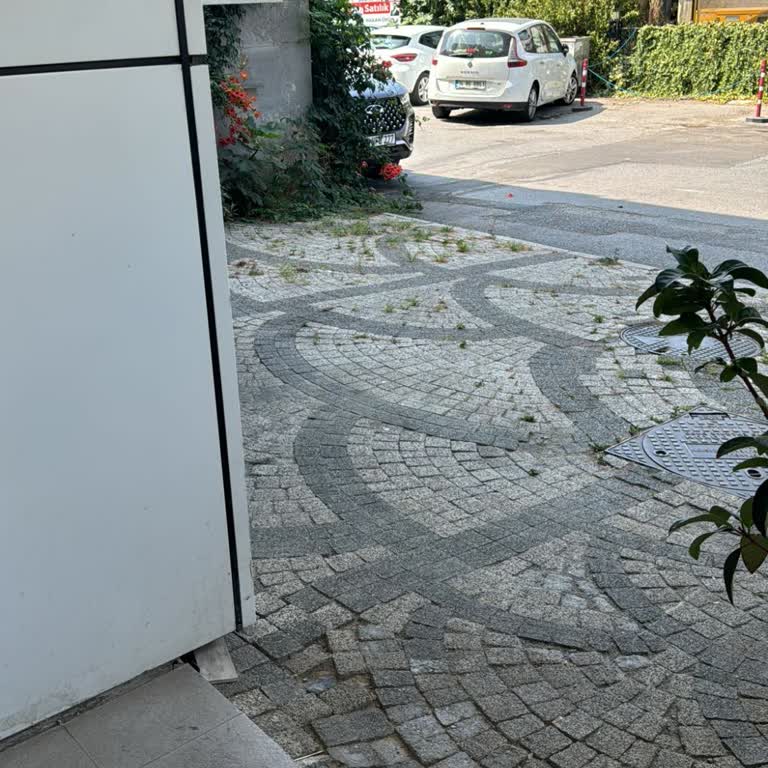 Hfs Center Saç Simülasyonu Fiyatları Hakkında Endişeler