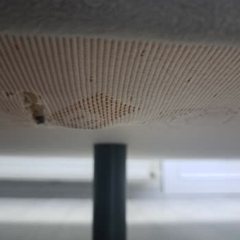 Bellona Koltuk Takımından Pişman Oldum