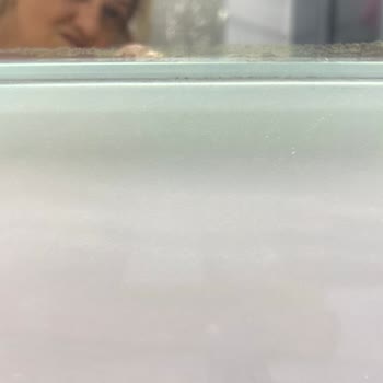 Şişecam Aynam Kısa Sürede Bozuldu