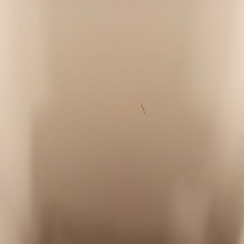 Eofis Ve Gayri Ahlaki İş Etiği.