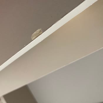 My Sweet Home Mobilyacılar Çarşısı Mobilyalarımız Eksik Ve Teşhir Ürününden Farksız Hasarlı Geldi.