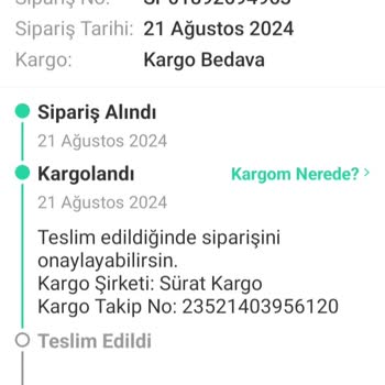 Sürat Kargo Ciddiyetsizliği Sorumsuzluğu ...