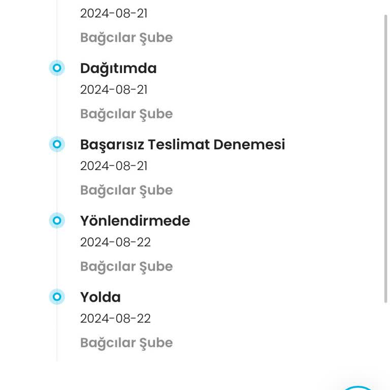 Kargoist Ertesi Gün Kargomu Getirmiyor.