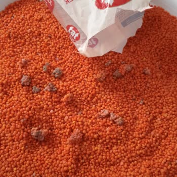 Tat Bakliyat Kırmızı Mercimek Küflenmiş