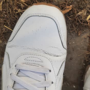 Puma Ayakkabı İnceleme Sürecinde Yaşanan Gecikme Ve İlgisizlik