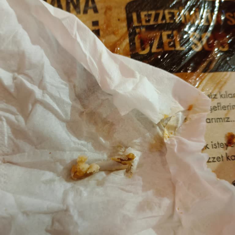 Salash Burger Tavuk Parçalarında Kemik Tehlikesi!