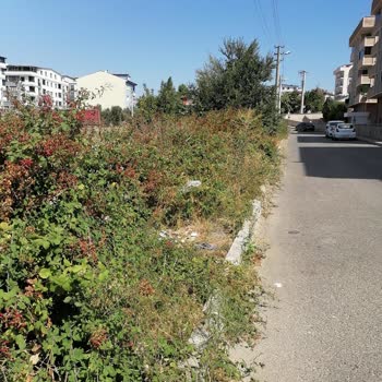 Kocaeli Büyükşehir Belediyesi Çevre Düzenlemesi Sorunu