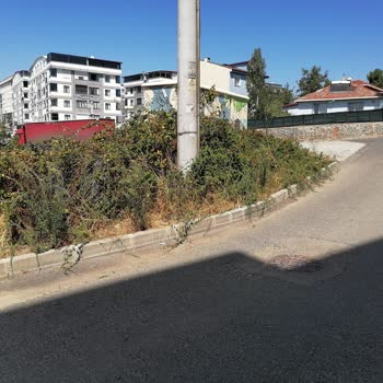 Kocaeli Büyükşehir Belediyesi Çevre Düzenlemesi Sorunu