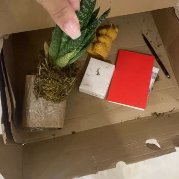 ÇiçekSepeti Çiçek Sepetinden Aldığım Hediye Beni Rezil Etti