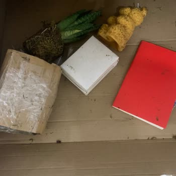 ÇiçekSepeti Çiçek Sepetinden Aldığım Hediye Beni Rezil Etti