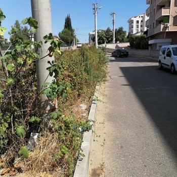 Çayırova Belediyesi Çevre Düzenlemesi Ve Temizlik