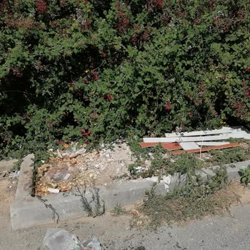 Çayırova Belediyesi Çevre Düzenlemesi Ve Temizlik