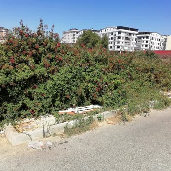 Çayırova Belediyesi Çevre Düzenlemesi Ve Temizlik