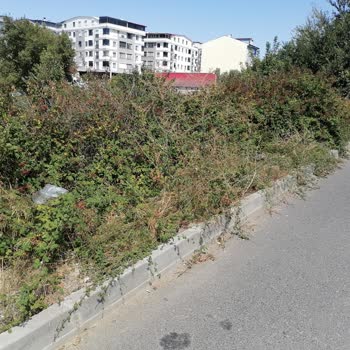 Çayırova Belediyesi Çevre Düzenlemesi Ve Temizlik