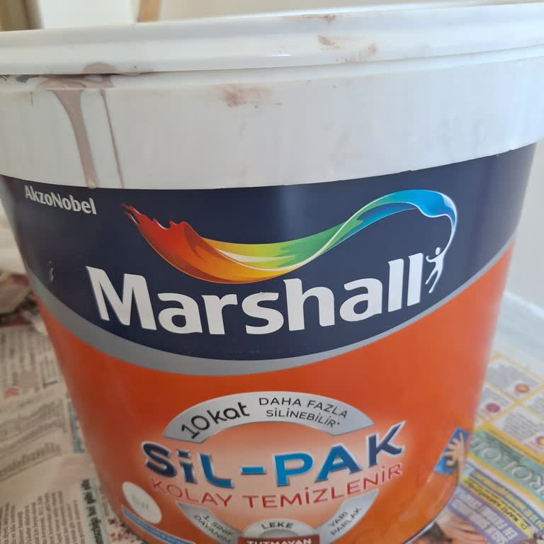 Samur Rengi Diye Aldık, Mürdüm Oldu: Marshall Boya Hayal Kırıklığı