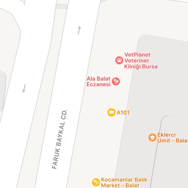 Bursa Balat Mahallesi A101 Şubesi Kapalıydı