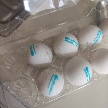 Getir Küflü Bozuk Ürünler