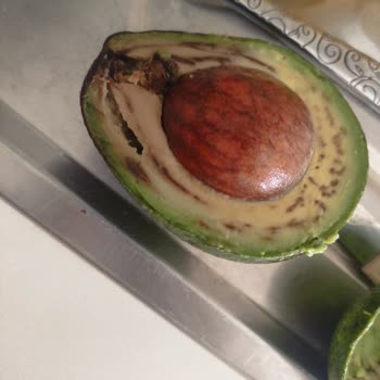 Getir Küflü Bozuk Ürünler