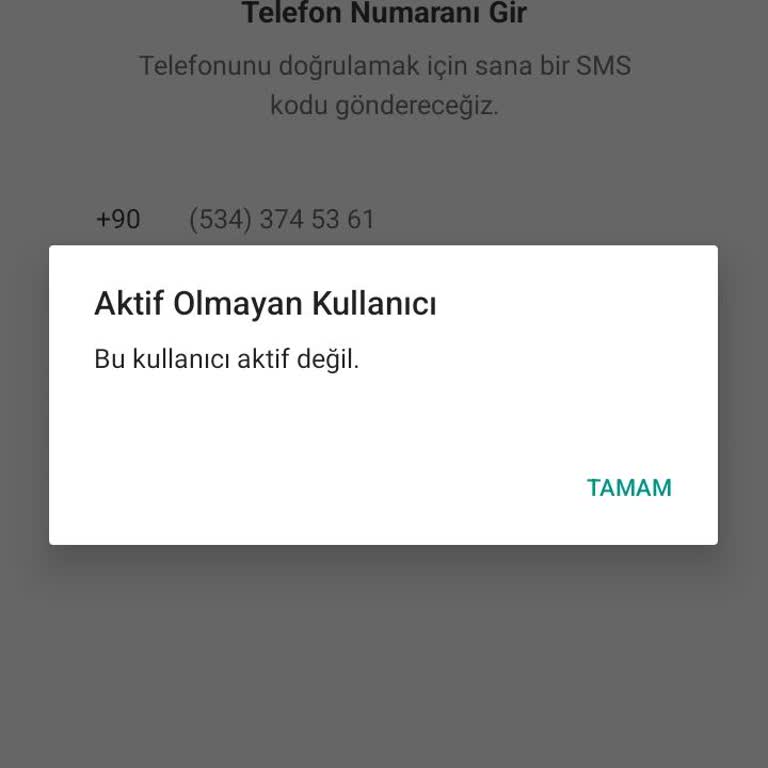 Martı Tag Kullanıcı Hatası Sorunu