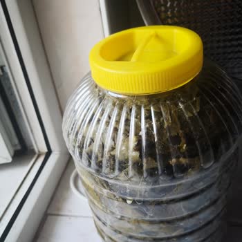 Gelin Görümce Yöresel Ürünler Görselden Farklı Ürün Vs.