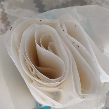 A101 Aldığım Kağıt Havludan Böcek Çıktı